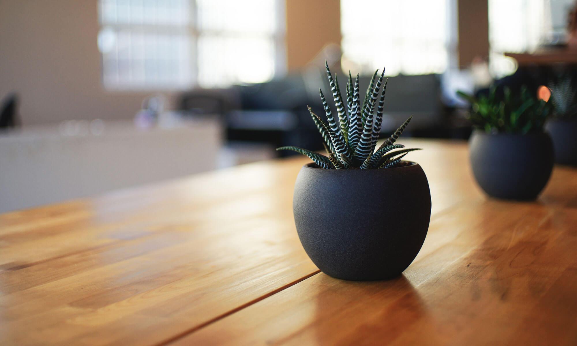 Oz Business Support Services